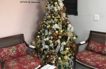 Concurso de decoração natalina vai distribuir R$ 9 mil para empresas