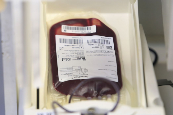 Conselho da Mulher reforça campanha para aumentar doadores de sangue